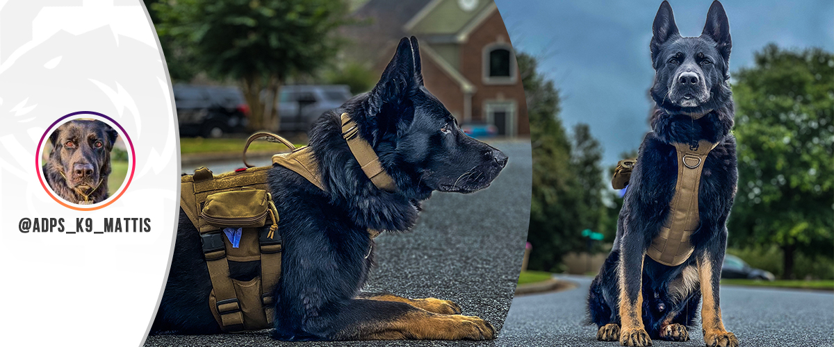 K9 Tactical Dog Harness
