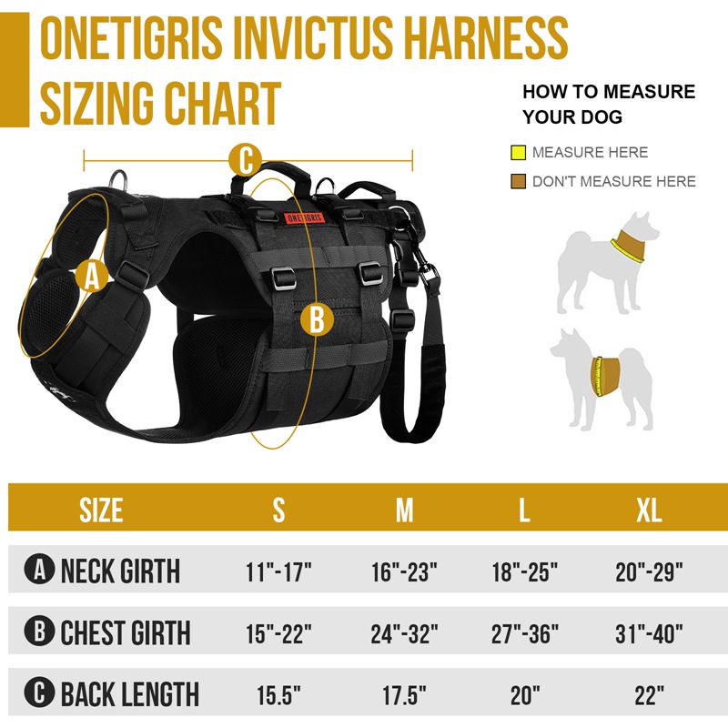 Size of INVICTUS Support Harness