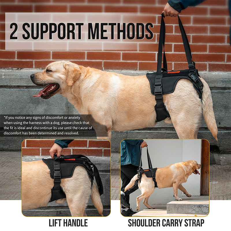 VICTUS Support Harness