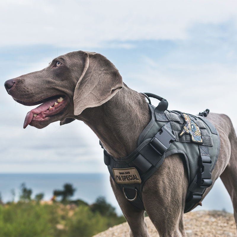 OneTigris Tactical Dog Harness - Fire Watcher Comfortable Patrol Vest  (Coyote Brown, Medium)