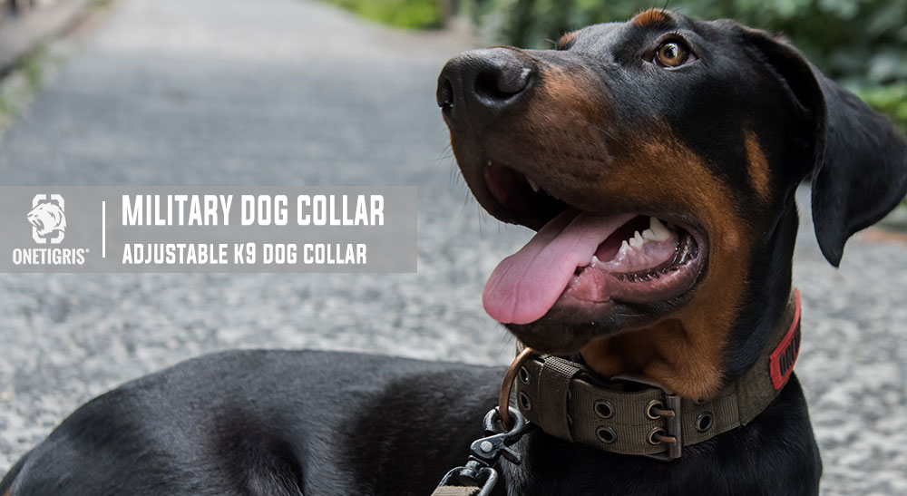OneTigris Military Adjustable Dog Collar – Hahn's World of Surplus